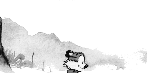 calvin hobbes3